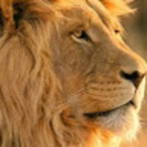 Meet your Posher, Isha